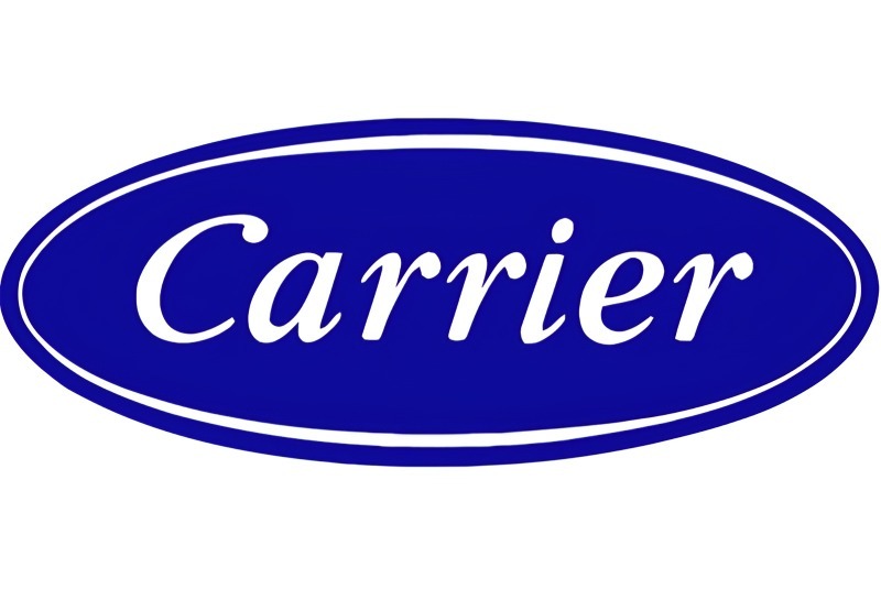 Carrier in Sage